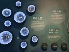 -中国湿地博物馆