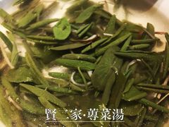 -素虎小呆鸟(西二旗店)
