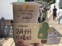 -猫的魔法密林(衣裳街店)