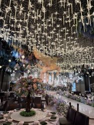 -花嫁丽舍婚礼殿堂(世博江景店)