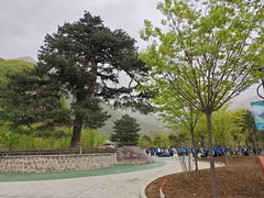 -秦岭终南山世界地质公园翠华山景区
