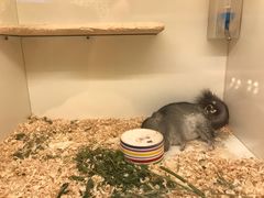 -龙猫仔乐园(惠福东路店)