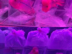 -华声天桥民俗文化园