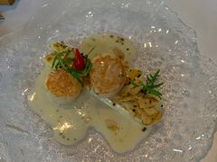 -蝶舍·MAISON PAPILLON