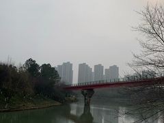 -青枫公园