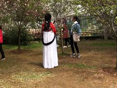 -武汉大学-樱园
