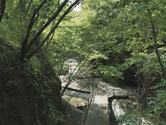 -野三坡百里峡景区