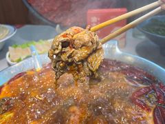 -渝大龙重庆火锅(温泉月亮湾店)