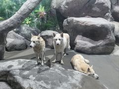 -福州罗源湾海洋世界旅游区