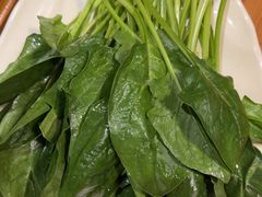 -芦月轩羊蝎子(劲松店)