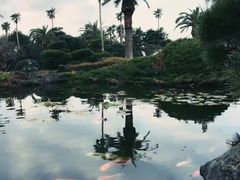 -龙头岩(Dragon Head Rock)