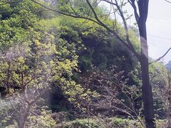 -秦岭终南山世界地质公园翠华山景区