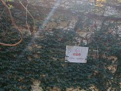 -宅里香.自然餐厅(湘大店)