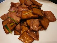-泰康之家·申园