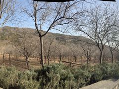 -北京十三陵国家森林公园蟒山景区
