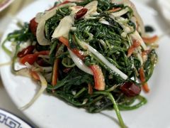 -煲来饱去冷水鱼