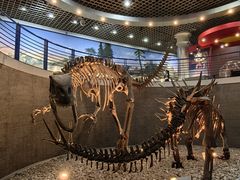 -国家自然博物馆