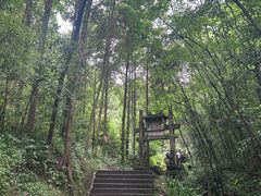 -凤栖山
