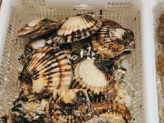 -老虎滩船说·大连海鲜(老虎滩店)