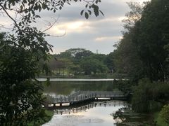 -东莞植物园