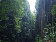 -山王坪喀斯特国家生态公园
