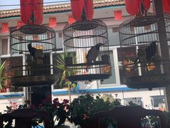 -北京龙庆四季香农家饭庄·灶台鱼·碳烤虹鳟鱼(龙庆峡店)