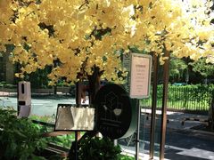 -玖尹-新派中式餐酒馆