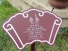 -苏州文庙(姑苏区)