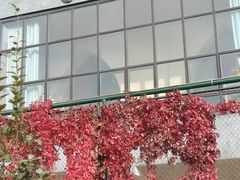 -北京市朝阳区朝花幼儿园(福润四季园)