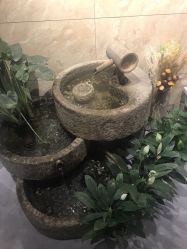 -三只熊皮肤管理中心