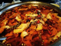 水煮鱼-红京鱼(西坝河店)