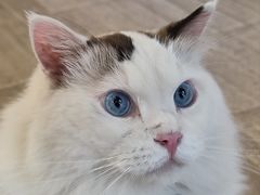 -KUYE·裤爺炼金室·银饰DIY(大运河店)