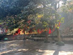 -灵顺寺