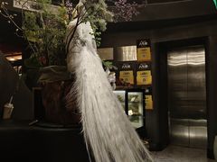 -滇野云南野生菌餐厅(陕西南路店)