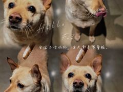 -Cactus墨西哥仙人掌餐厅