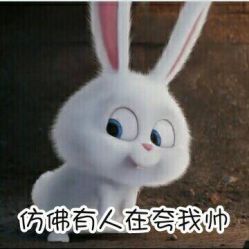 点击看大图 -韩国艺匠ARTIZ STUDIO(博览中心店)