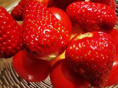 -额尔敦牛厨师铜板烧