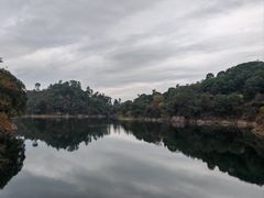 -千岛湖东南湖区