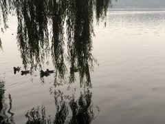 -苏堤停车场