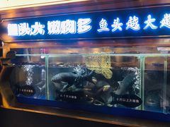 门面-坛宗剁椒鱼头(河西王府井店)