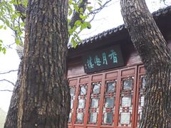 -八大山人梅湖景区