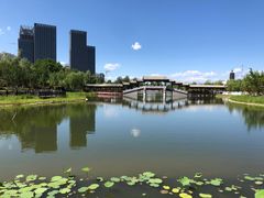 -西海子公园