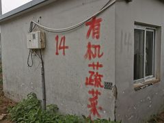 -大自然农场蔬菜草莓采摘园