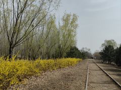 -永定河休闲森林公园
