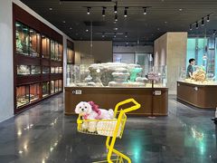 -帕帕拉兹宠物(亚洲旗舰店)