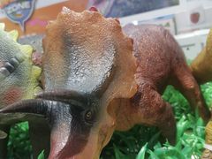 -TOYSRUS玩具反斗城(凯德广场云尚店)