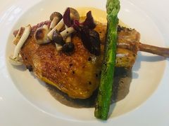 -蝶舍·MAISON PAPILLON