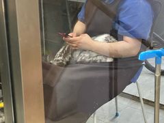 -宠福鑫康馨动物医院·骨科·眼科