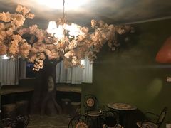 -猫猫幼稚园·撸猫·桌游·电玩