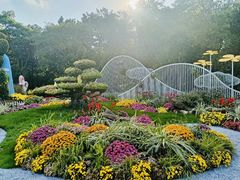 -上海共青森林公园